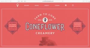 Coneflower Example Custom Typography