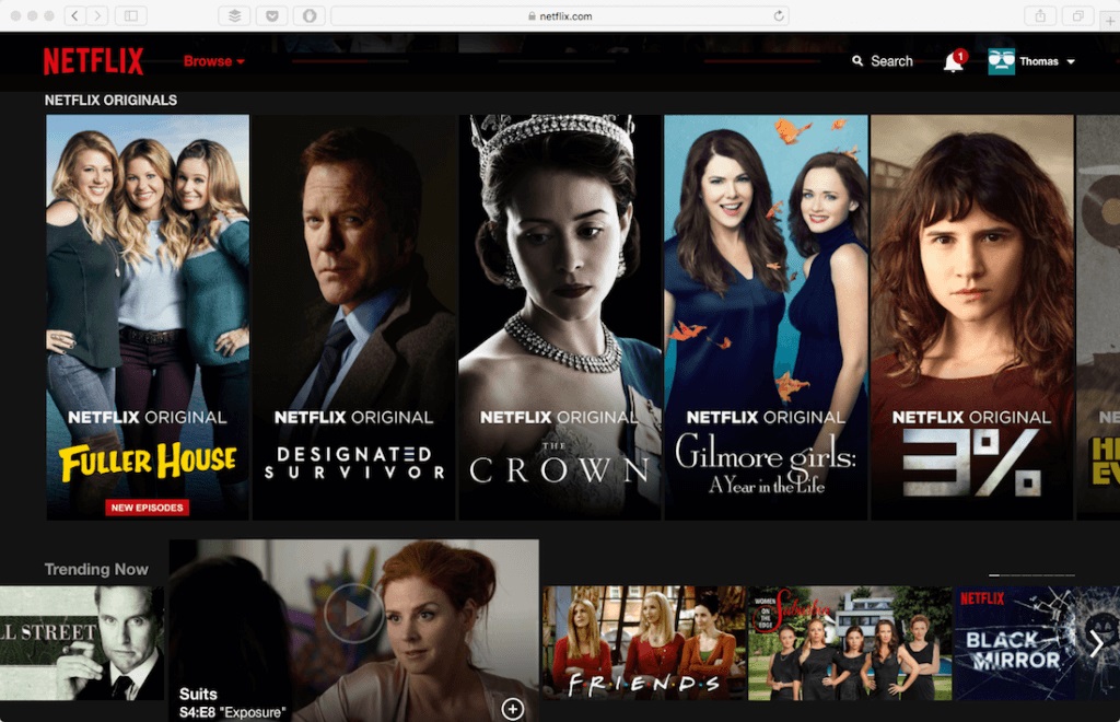 Netflix Example Minimalistic web design