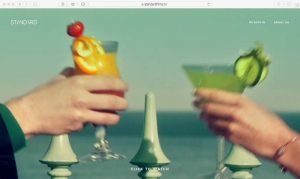 standardfilms.tv Example full screen video web design