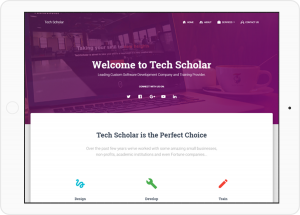 Web Design Service at Tech Scholar