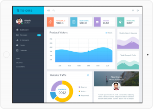 Software Development Service at Tech Scholar